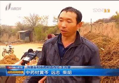 农业中药养殖致富_中药养殖什么利润大_致富药材种植