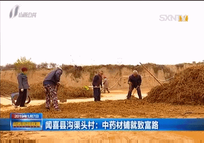 中药养殖什么利润大_致富药材种植_农业中药养殖致富