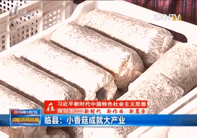 中药养殖什么利润大_农业中药养殖致富_致富药材种植