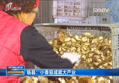 致富药材种植_中药养殖什么利润大_农业中药养殖致富