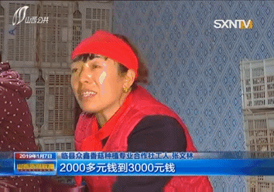 中药养殖什么利润大_农业中药养殖致富_致富药材种植