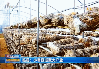 农业中药养殖致富_致富药材种植_中药养殖什么利润大