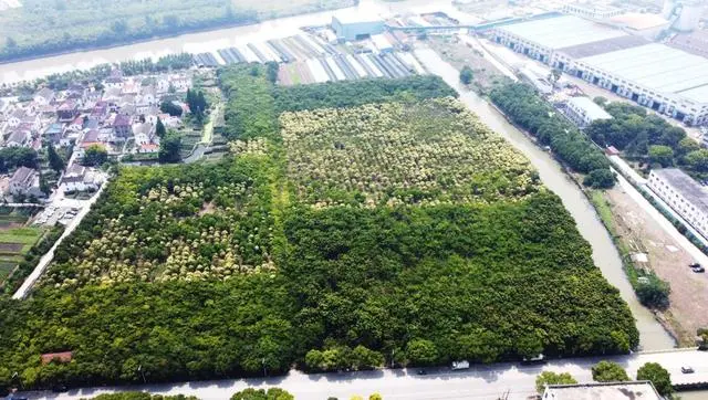 中药养殖什么利润大_农业中药养殖致富_致富中药养殖农业产品