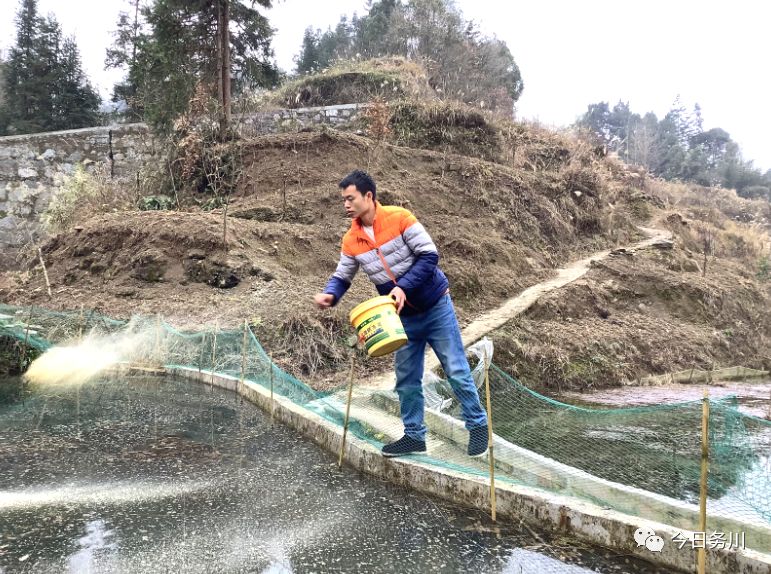 青鳅养殖致富_致富养殖青鳅视频_致富养殖青鳅鱼