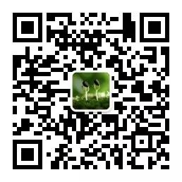 短豆角种植技术_如何种植豆角才高产_种植豆角的技术和方法