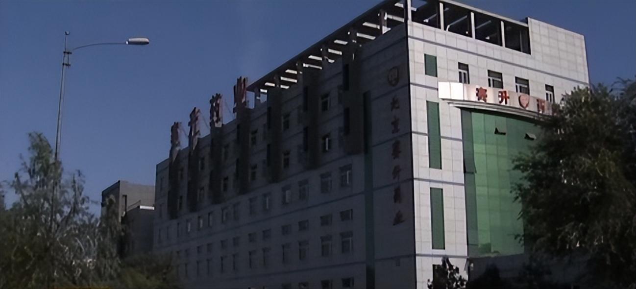 养五步蛇致富视频_五步蛇养致富经_养五步蛇致富经
