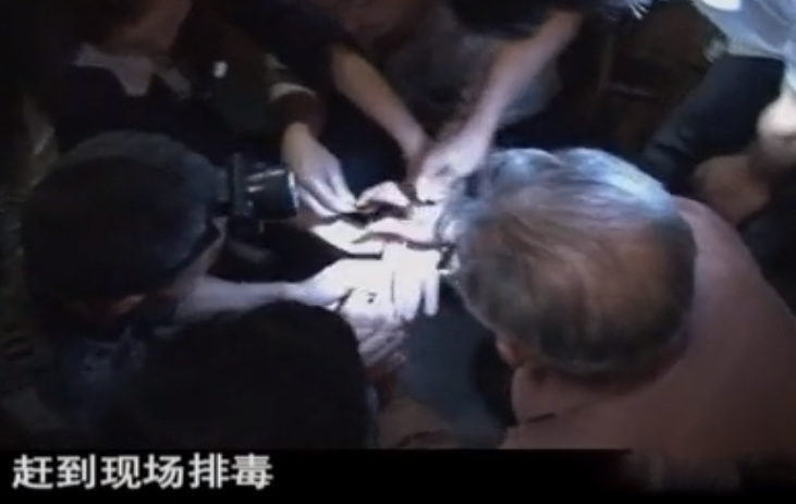 养五步蛇致富经_五步蛇养致富经_养五步蛇致富视频