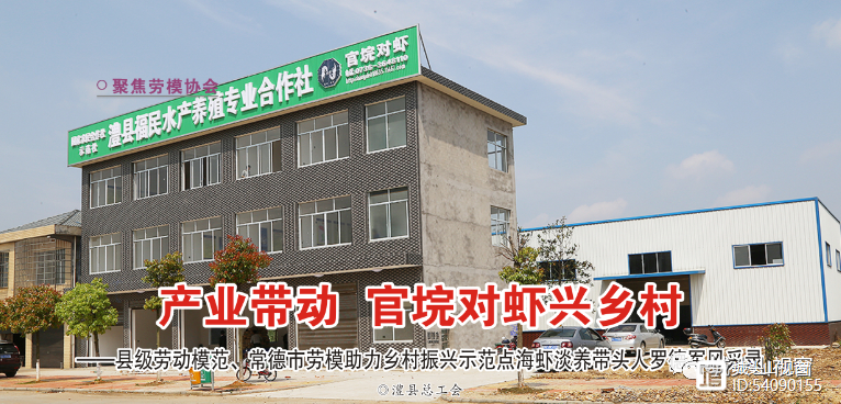 工会特刊▪劳模风采‖产业带动  官垸对虾兴乡村
