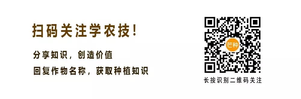 种植蓬蒿技术要求_蓬蒿怎么种_蓬蒿种植技术