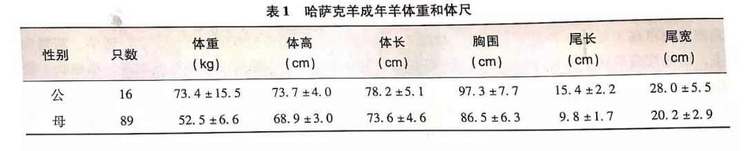 大型养殖羊的羊的视频_大尾羊养殖技术_养殖羊大户