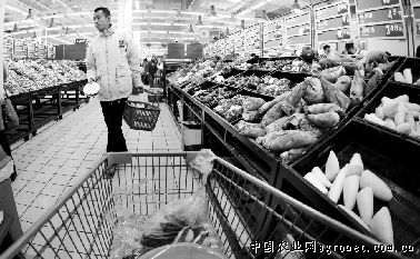 豫玉16玉米价格最新行情：安徽庐江：“驯化”芹菜30年 地里刨出了“银娃娃”