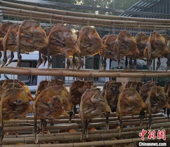 “东升豚”叩开致富门 江西彭泽特色养殖激发乡村发展活力