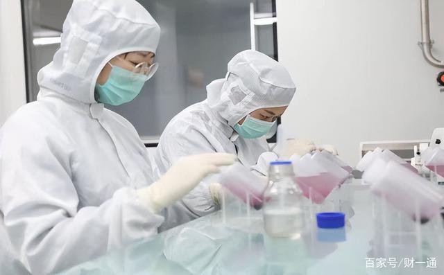 湖南养蛇致富视频全集_致富经养蛇视频卢桦蛇_养蛇当宠物蛇会咬人吗