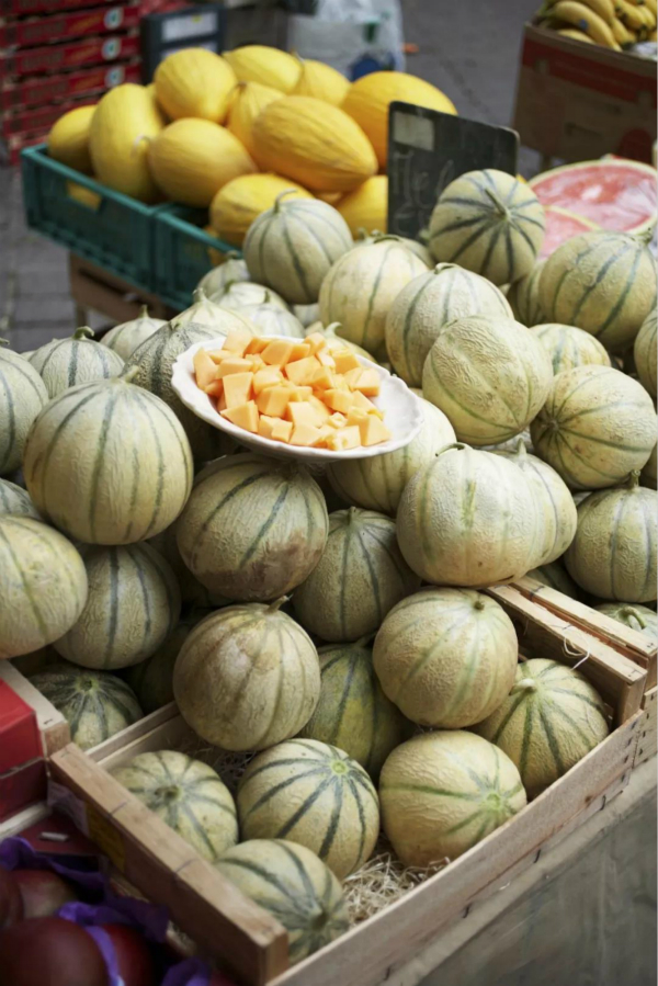 新疆蜜蜂养殖_蜜蜂致富新疆话怎么说_致富经新疆 蜜蜂