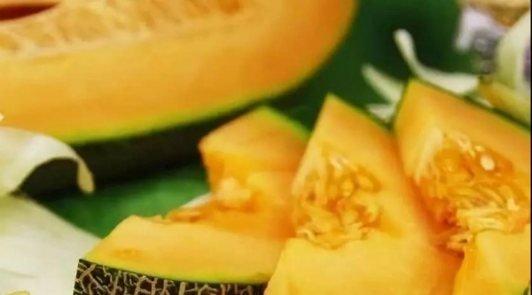 致富经新疆 蜜蜂_蜜蜂致富新疆话怎么说_新疆蜜蜂养殖