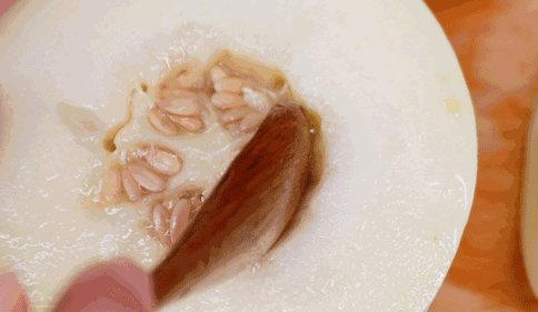 新疆蜜蜂养殖_蜜蜂致富新疆话怎么说_致富经新疆 蜜蜂
