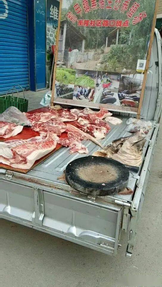 养殖视频致富经_家庭养殖致富视频_致富创业网养殖视频