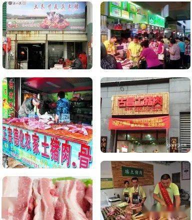 家庭养殖致富视频_致富创业网养殖视频_养殖视频致富经