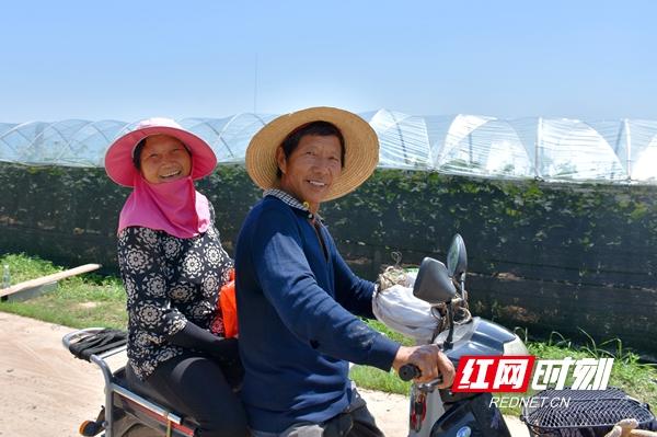 冰葡萄多少钱一袋_致富经上冰葡萄_致富经葡萄