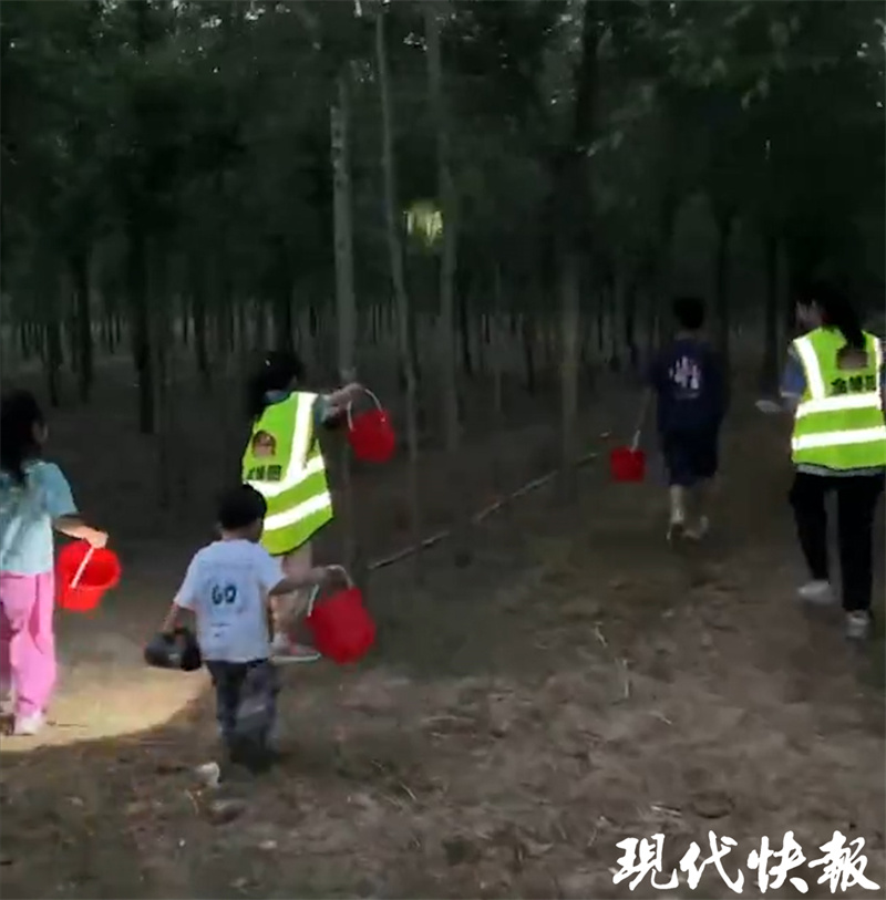 致富经规模化知了猴种植_致富经知了猴养殖视频_知了猴种植技术