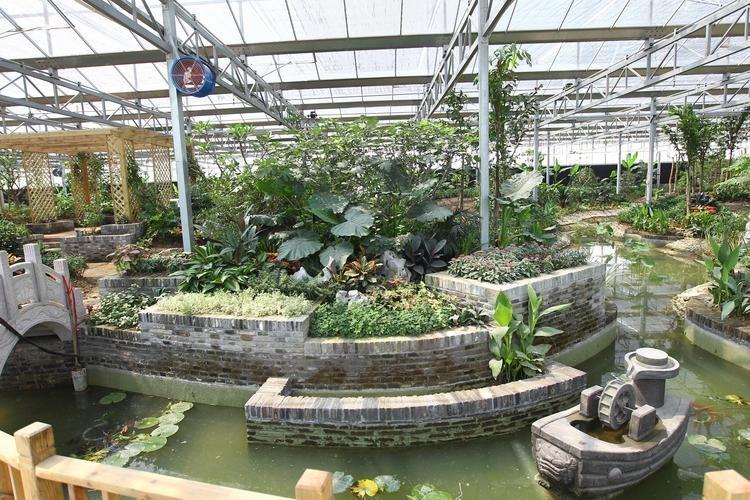 种植致富经_种植致富新项目_生态种植致富研究