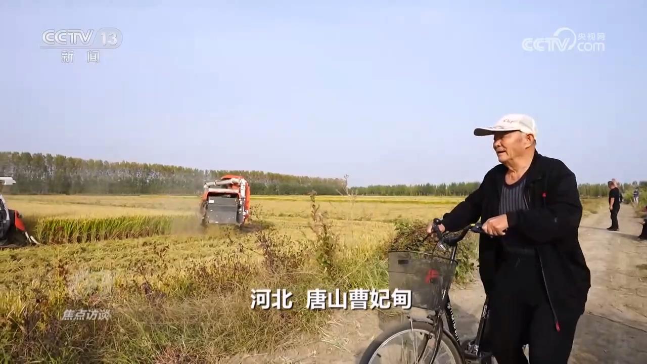 农林养殖致富视频_致富养殖业_农村养殖业致富项目视频