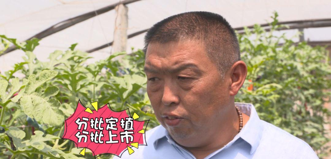 种植致富小妙招_致富妙招种植小麦视频_致富妙招种植小葱视频