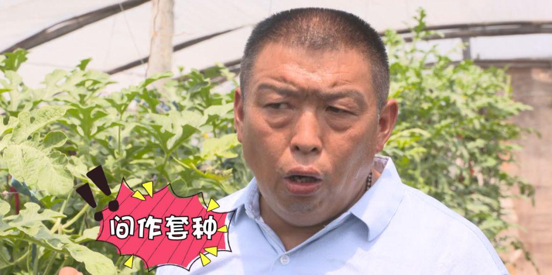 种植致富小妙招_致富妙招种植小葱视频_致富妙招种植小麦视频
