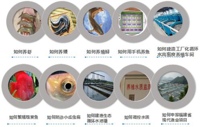 水产养殖专科学校_我国水产养殖技术学院_水产养殖专业学校