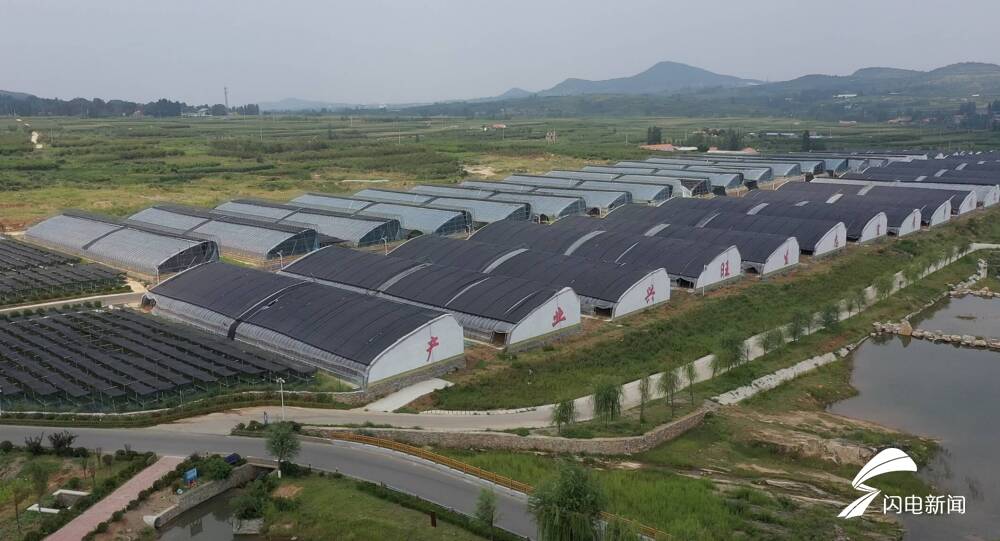 山东草莓什么时候种怎么种_山东草莓种植致富_山东草莓种植基地