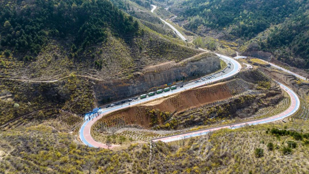 湖北致富经_湖北地区种植什么最赚钱_湖北种植致富计划
