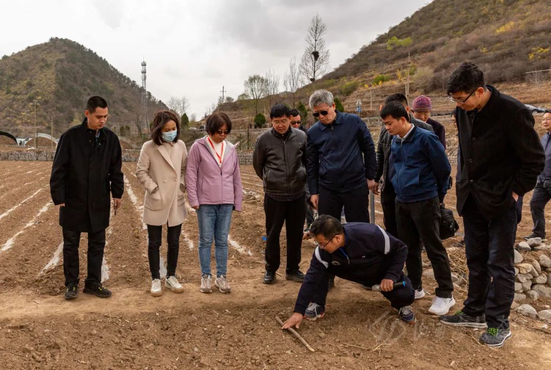 湖北地区种植什么最赚钱_湖北种植致富计划_湖北致富经