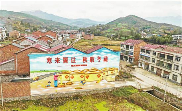 农村种植致富小项目_农村致富新项目种植_农村集体种植致富