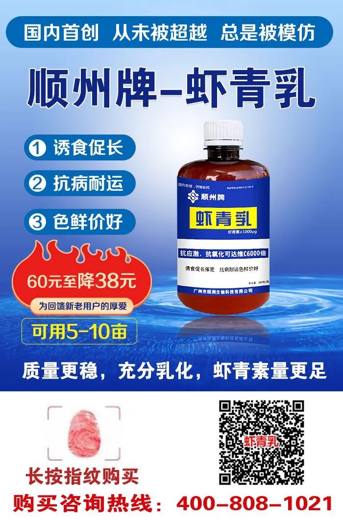养殖虾如何致富_致富经淡水虾养殖视频_致富经室内养虾视频