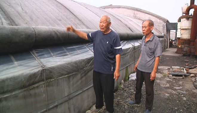 养殖虾如何致富_致富经淡水虾养殖视频_致富经室内养虾视频