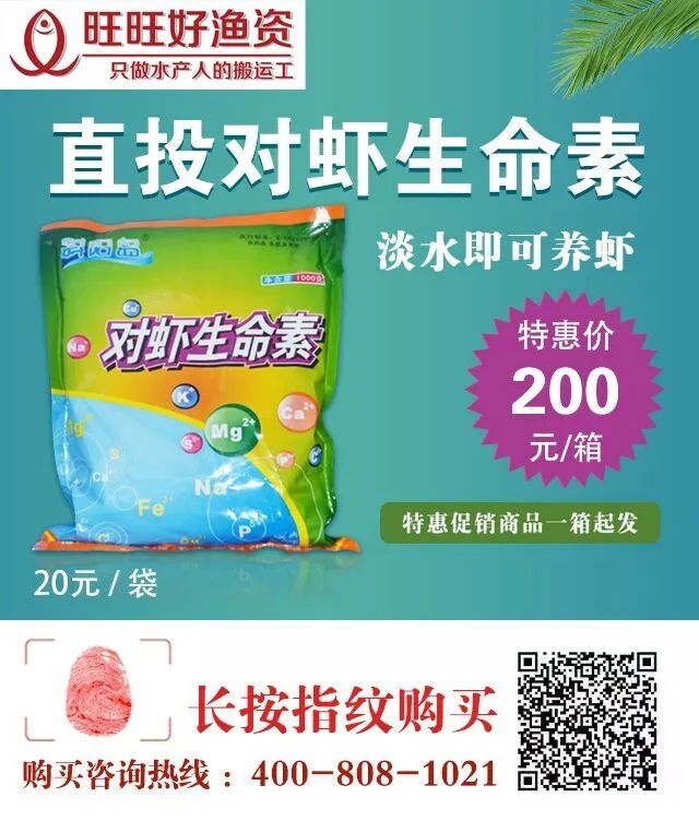 养殖虾如何致富_致富经室内养虾视频_致富经淡水虾养殖视频