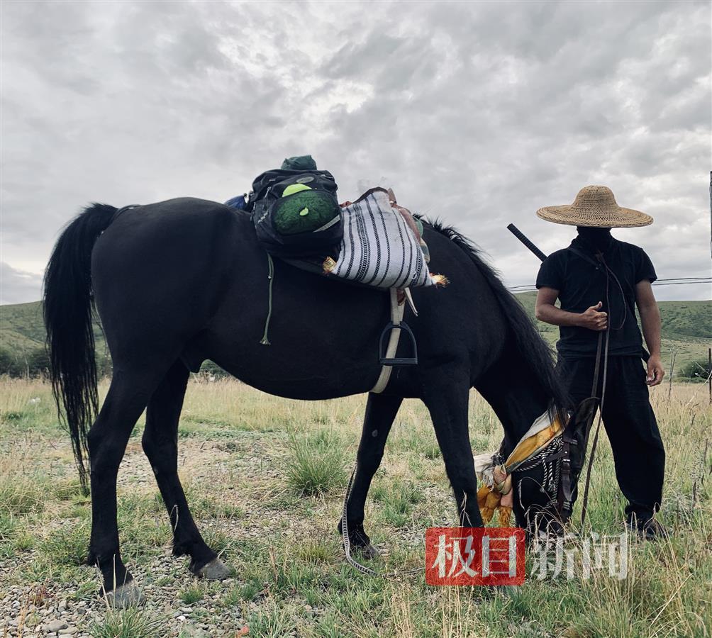 大型养殖狗肉厂_养殖业狗肉_养殖永新狗肉致富