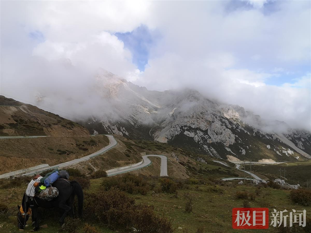 养殖业狗肉_大型养殖狗肉厂_养殖永新狗肉致富