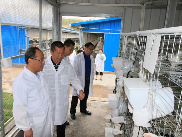 余其豹：壮大肉鸽产业 助推脱贫攻坚