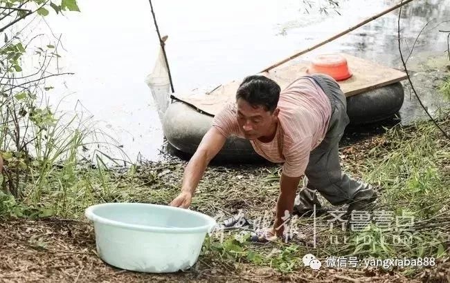 致富养殖创业计划书_40岁创业养殖致富_致富养殖创业方案