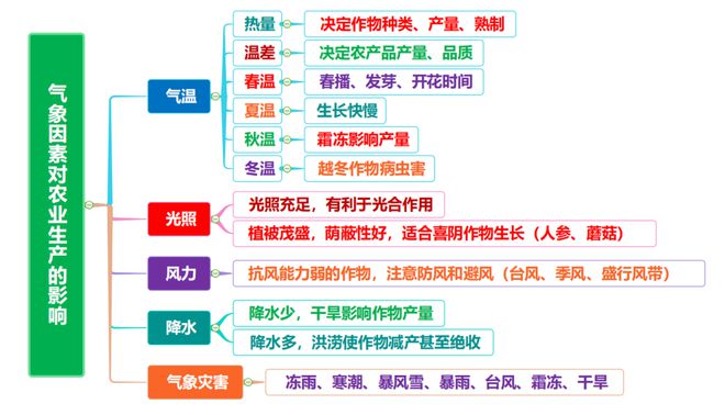 云南农民种植致富树_云南种植什么树挣钱_致富云南种植农民树视频