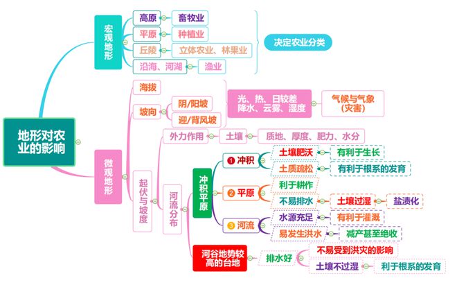 云南农民种植致富树_云南种植什么树挣钱_致富云南种植农民树视频