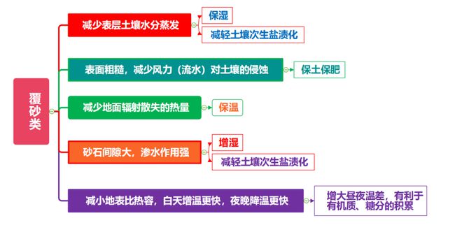 致富云南种植农民树视频_云南种植什么树挣钱_云南农民种植致富树