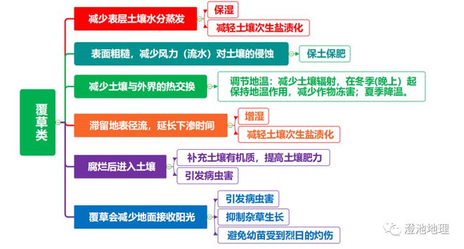 云南农民种植致富树_云南种植什么树挣钱_致富云南种植农民树视频