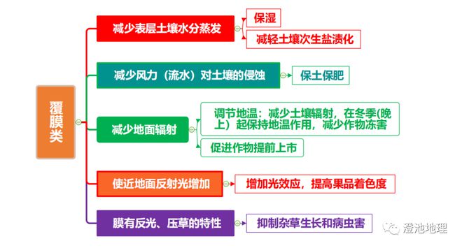 云南种植什么树挣钱_云南农民种植致富树_致富云南种植农民树视频
