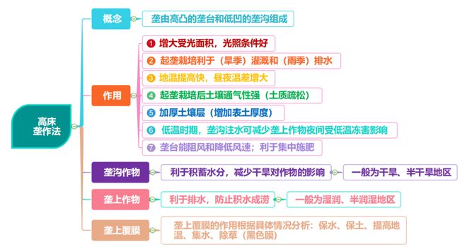 致富云南种植农民树视频_云南农民种植致富树_云南种植什么树挣钱