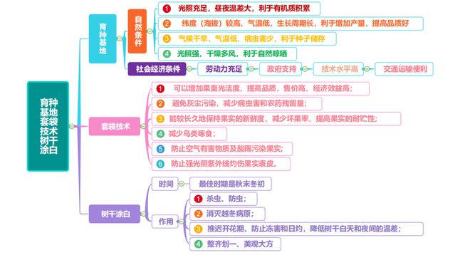 云南种植什么树挣钱_云南农民种植致富树_致富云南种植农民树视频