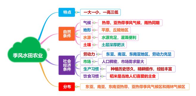 云南农民种植致富树_致富云南种植农民树视频_云南种植什么树挣钱