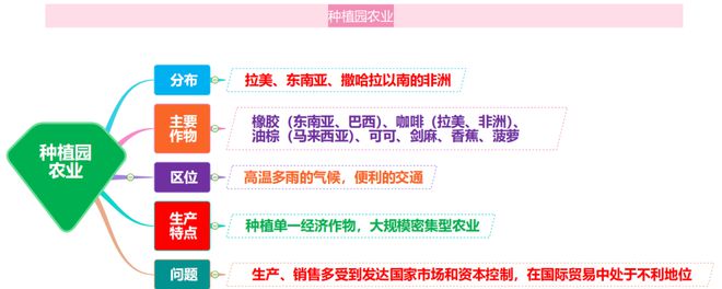 致富云南种植农民树视频_云南农民种植致富树_云南种植什么树挣钱