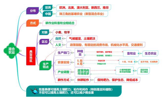 云南农民种植致富树_致富云南种植农民树视频_云南种植什么树挣钱